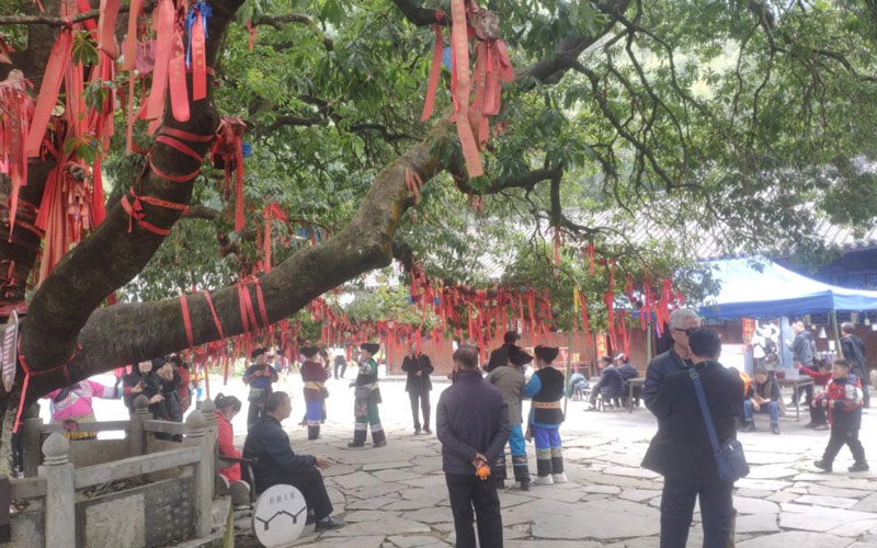 图片7.jpg