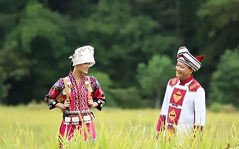 单身汉（民歌MV）