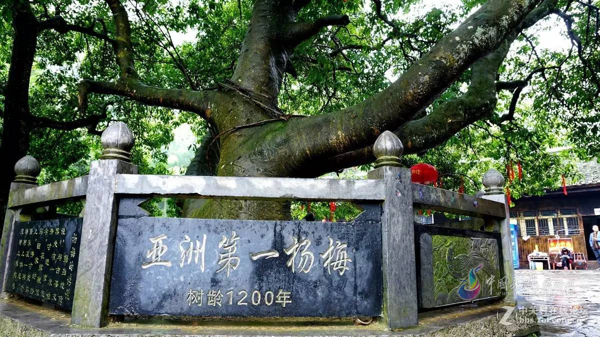 杨梅古寨古韵深