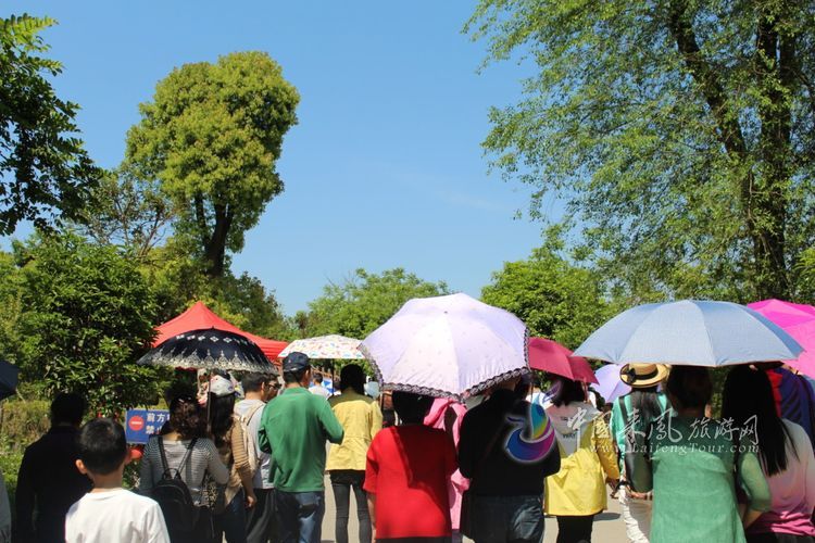 仙佛寺景区迎来首个杭州旅游团!