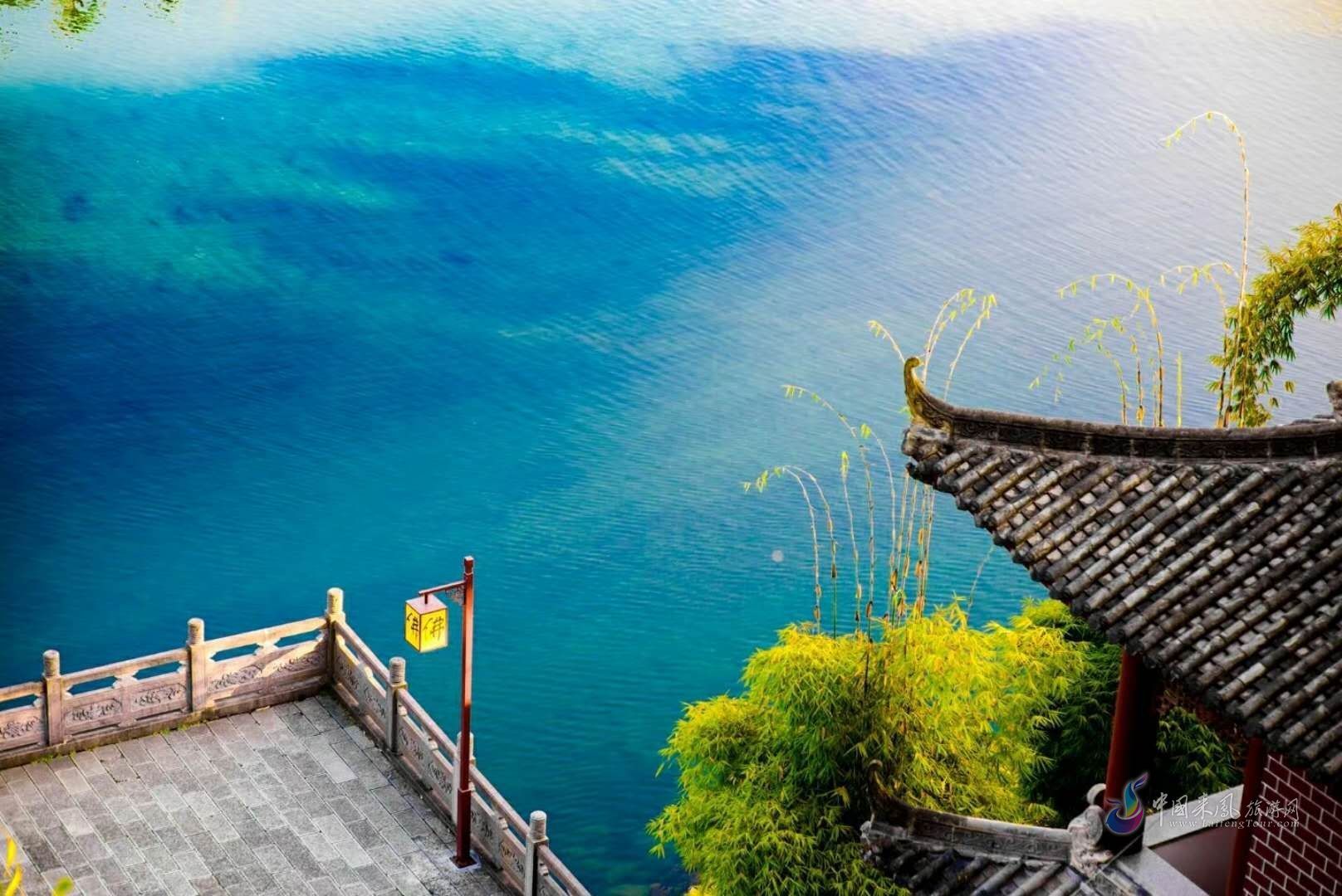 法讯 | 仙佛寺观音菩萨成道日祈福法会通启