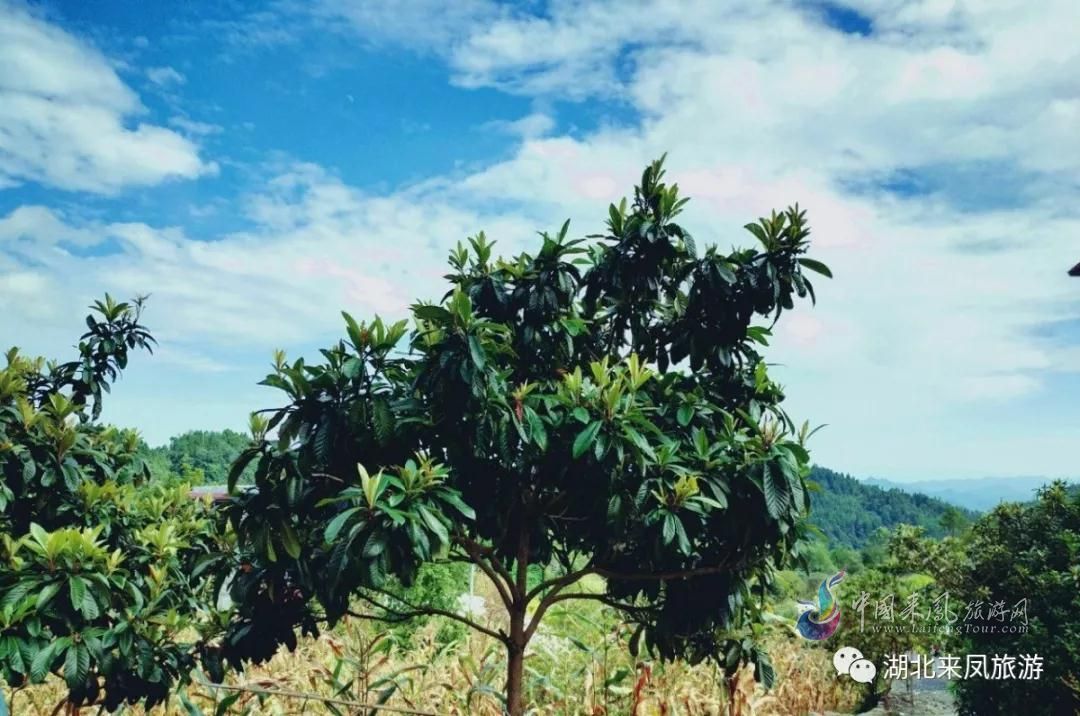 国庆假只剩2天啦!杨梅古寨短线游,抓紧时间,出发啦~