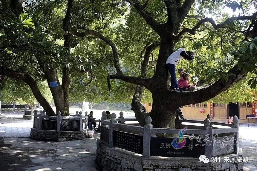 国庆假只剩2天啦!杨梅古寨短线游,抓紧时间,出发啦~