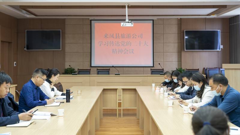 来凤旅投公司专题学习党的二十大会议精神
